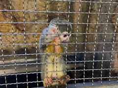 -成都浩海立方海洋公园