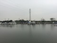 -长洲岛