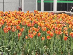 -石家庄市植物园