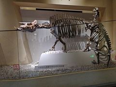 -国家自然博物馆