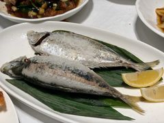 盐渍巴浪鱼-瓯菜排档·温州海鲜(玕南店)