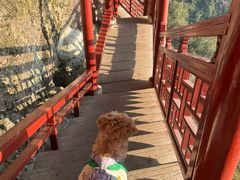 -大慈岩风景区