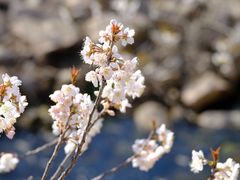 -崂山九水游览区