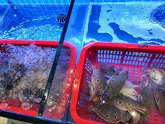 -鹅香四海·卤水火锅·砂锅粥·潮汕菜(宝安店)