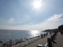 -深圳湾公园(南山区)