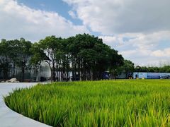 -MUSEO COFFEE咖啡博物馆