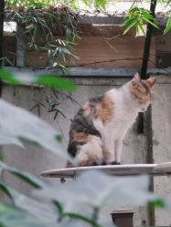 -HeyJewel全球独立设计师原创首饰集合店