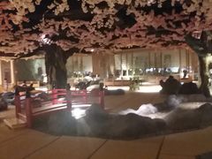 -蓝鲸湾汤泉(包河店)