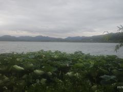 -湖畔居茶楼(湖滨店)