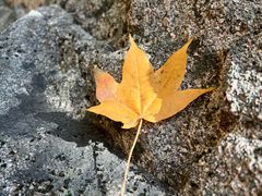 -丹东天桥沟景区