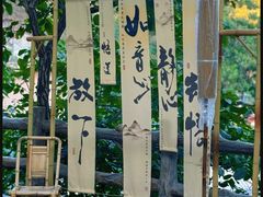 -周口店坡峰岭风景区