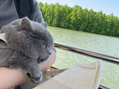 -上海海湾国家森林公园