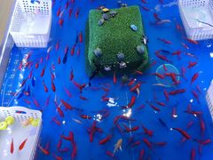 -大玩家(拱墅万达店)