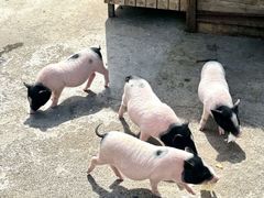 -水上乐园·欢乐世界