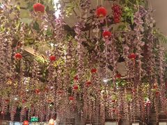 -鸭匠食府·挂炉烤鸭·新京菜(阜成路店)