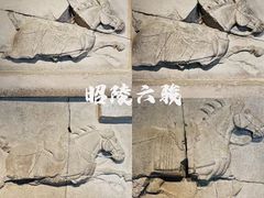 -西安碑林博物馆