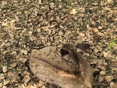 -上海交通大学(闵行校区)