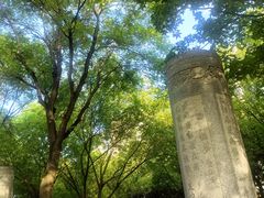 -唐城墙遗址公园