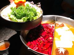 -湊湊火锅·茶憩(新中关购物中心店)