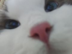 -美迦爱-牙专科·兔科·骨科诊疗中心(北苑店)