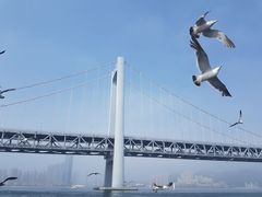 -星海湾跨海大桥