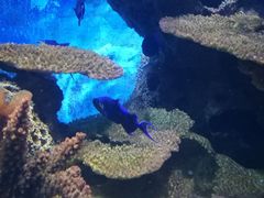 -多彩贵州城极地海洋世界