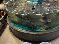 -魏铭鱼头捞饭(晋阳路店)