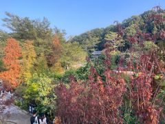 -广州市帽峰山景区
