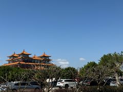 -野狸岛