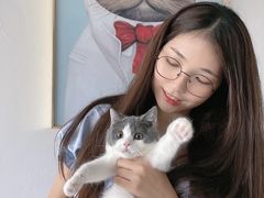 -lincat·猫舍(广州店)
