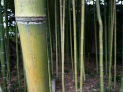 -上海市龙华烈士陵园