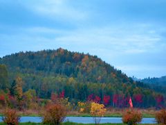 -五营红松林海景区
