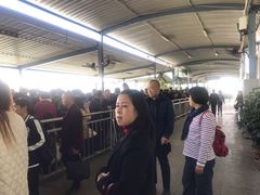 -国际邮轮中心码头(厦鼓码头)