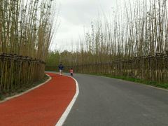 -上海长兴岛郊野公园