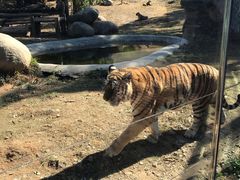 -泉州海丝野生动物世界