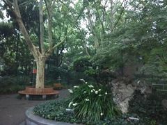 -华山儿童公园