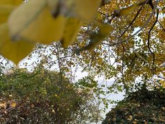 -东钱湖旅游度假区