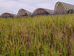 -中国天府农业博览园