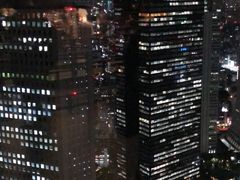 -东京都厅舍