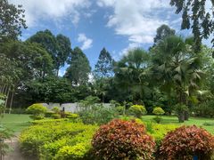-中国科学院西双版纳热带植物园