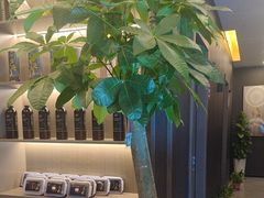 -鹿栖.精油SPA(金山世纪城店)