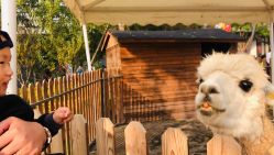 -萌宠亲子动物乐园(槐房万达店)