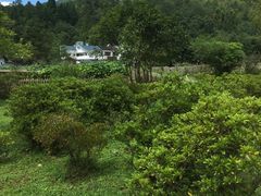 -毛泽东同志旧居