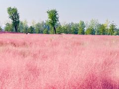 -汉长安城未央宫国家考古遗址公园