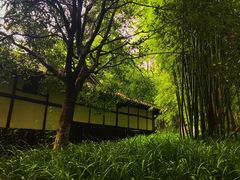 -邓小平故里