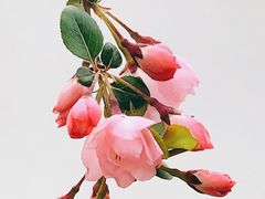 -陶然亭公园