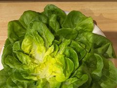 -九孔·筒骨莲藕汤锅(大明宫万达店)