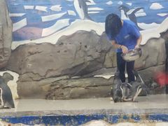 -梦幻海洋王国(吾悦广场张家港店)