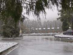 -武陵山森林公园