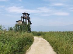 -野鸭湖国家湿地公园